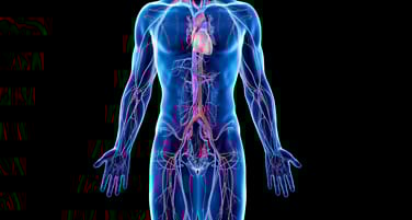 Cardiovasculair