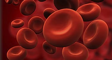 Hematologie